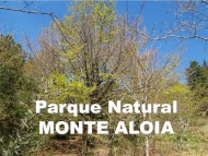 Espazos Naturais: Parque Natural Monte Aloia